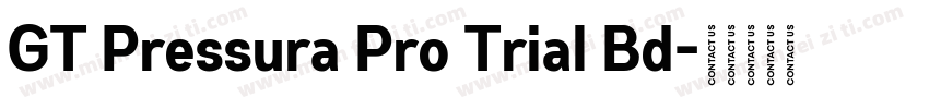 GT Pressura Pro Trial Bd字体转换
